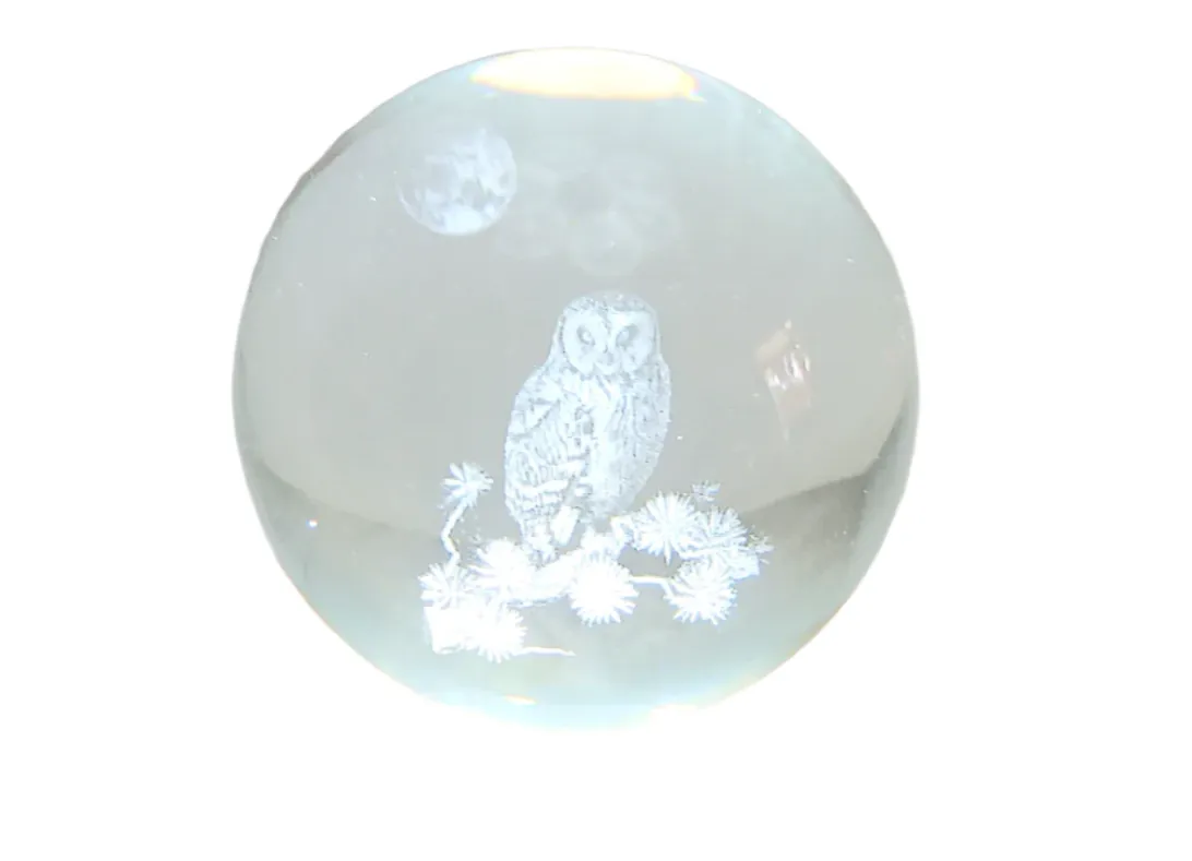 Medium Owl under the Moon 3D Print Glass Globe