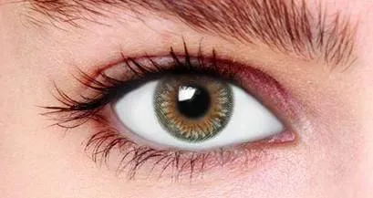 Sugar Gray Tone 3 Contact Lenses (90 days)